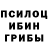 Галлюциногенные грибы GOLDEN TEACHER Yakov Bassin
