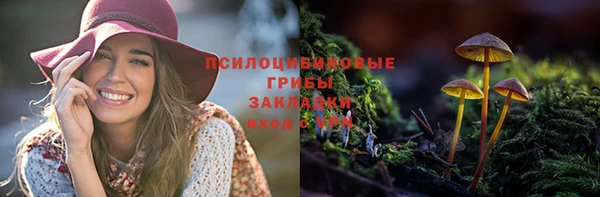 гидропоника Алзамай