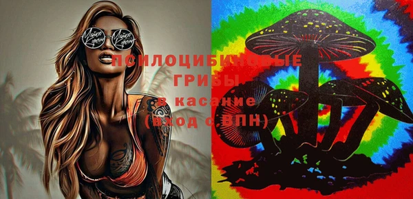 дживик Абаза